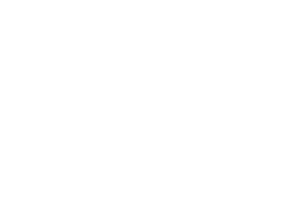 Cliente e-valve